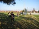 IMG_0124_608x456