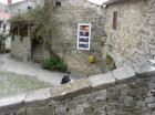 Istra 23.10.2010 034_1063x797