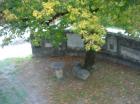 Istra 23.10.2010 052_1063x797