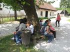 IMG_7544_1454x1091