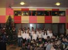 IMG_0126_983x737