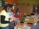 IMG_0225_800x600