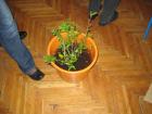IMG_0228_800x600