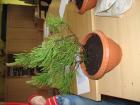 IMG_0230_800x600