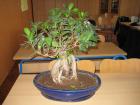 IMG_0231_800x600