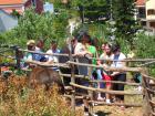 IMG_0342 (Copy)