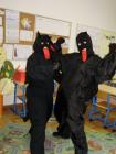 Picture 042