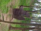 DSC00257