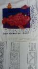 IMG-20210215-WA0032