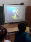 IMG-032c93ece29306c4509c1c4dbe02e3cd-V