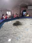 IMG-A6d34d4cc00324b7b99c70ccbc111f53-V