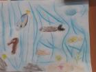 IMG-692b11a2a635e1362d123139293d5661-V