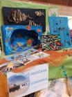 IMG_20190517_102127