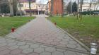 20161117_145134