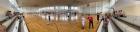 IMG-5de8142fe5ef63829e3ee6821ee58f8b-V