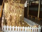 PromocijaZG2011 205