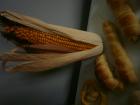 Dani Kruha11 143