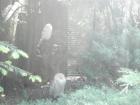DSC02584