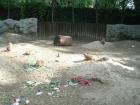 DSC02651