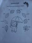 IMG-20221004-WA0002