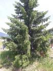IMG-980dcd5199145917bc60f4debe37da3a-V