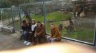 IMG-7737cd7c5dc84ca0a1ddc2c6a4f55a61-V