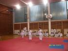 IMGP0983