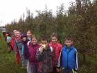 IMG_20151009_111422