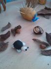 IMG_20151016_075742