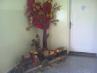 Picture 028