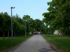 DSCN0277