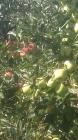 20160923_111315