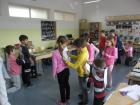 SAM_0173