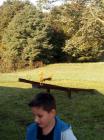 IMG-3ca2e1236b8e91cf5e2d6291d89dc70a-V
