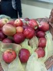 IMG-26cafbb8c047534f55167af91c26bf97-V