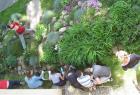 IMG_6966 (2)