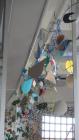 IMG_6953 (2)