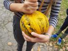 IMG-46c2b9cb65507e99c3afc76a95235118-V