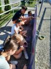 IMG-20210616-WA0003