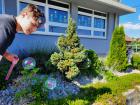 IMG-20210616-WA0007
