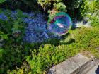 IMG-20210616-WA0008