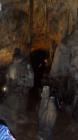 SAM_0446