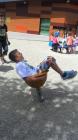SAM_0519