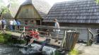 SAM_0547