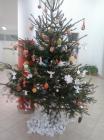 2014-12-10 11.34.46