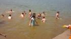 20150612_130659_resized_1_800x450