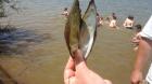20150612_130903_resized_1