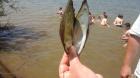 20150612_130903_resized_1_800x450