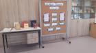 MicrosoftTeams-Image (11)