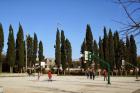 IMG_8348(1)
